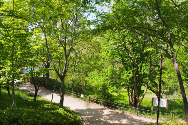 高槻塚原台ハイツ10号棟の周辺|上の池公園