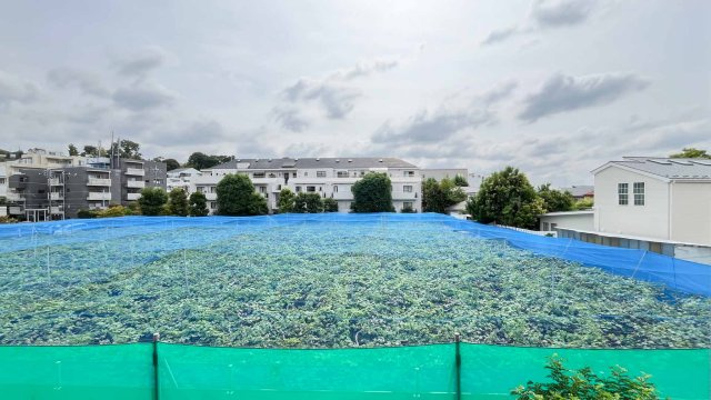 セザール上野毛ガーデンの展望