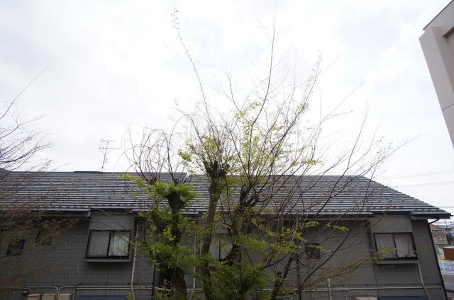 【展望】 | ハイツ仲田