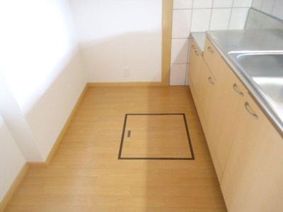 【内装】 | ルミナスガーデンＡ | 廊下（イメージ）