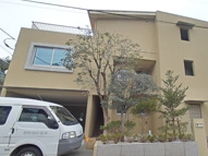 Ｗ　ｔｅｒｒａｃｅの画像