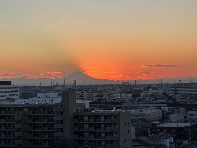 エフローレ新越谷ロイヤルガーデンの展望