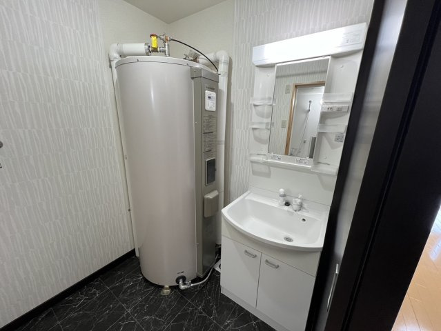 プラシードⅣの洗面所