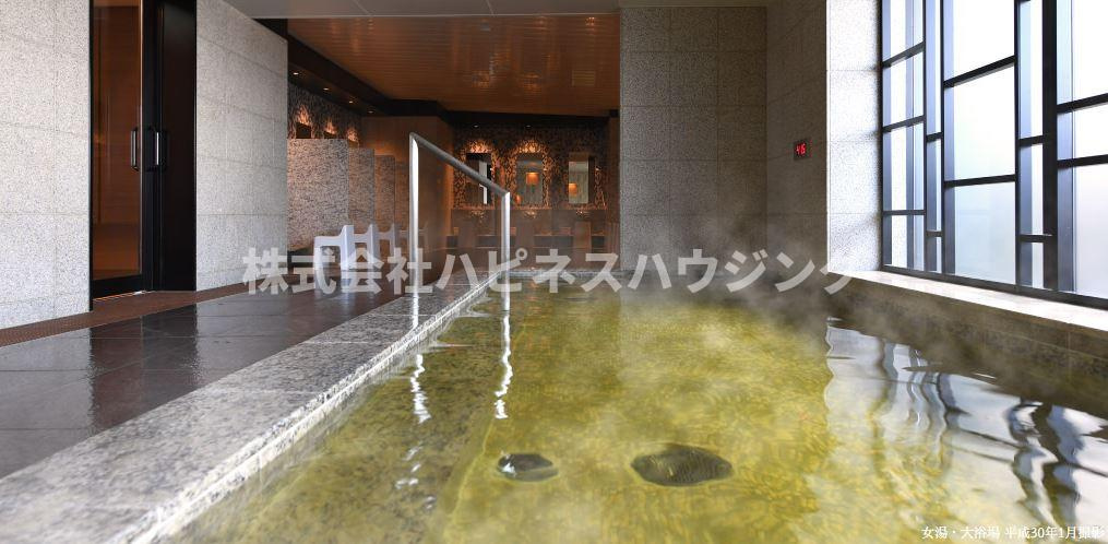 パークシティ柏の葉キャンパス　ザ・ゲートタワー　ウエストのその他共用部分|天然温泉あり