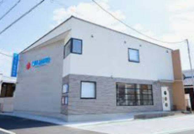 Ｍａｉｓｏｎ　Ｏｘａｌｉｓのその他|ミライノ動物病院