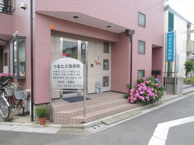 ラ・メゾン・メイト五番館のその他|つるた犬猫病院