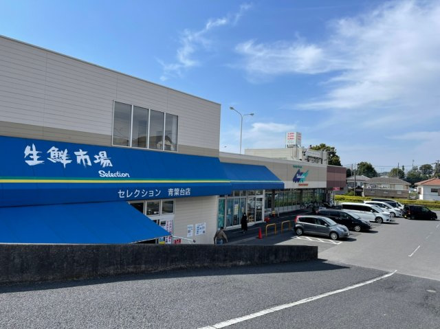 柏市酒井根３丁目新築戸建【酒井根小学校：5分】の周辺|セレクション（スーパー）まで350ｍ