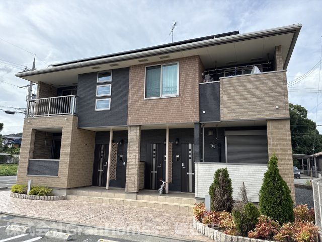 ブロード　マインデッドＡ