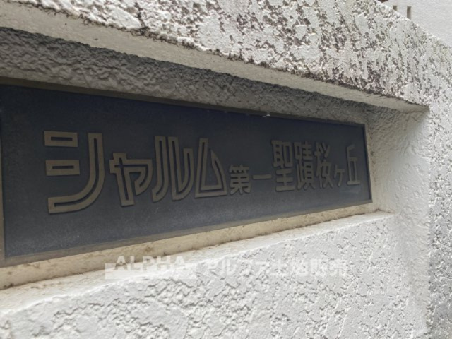 シャルム第一聖蹟桜ヶ丘の外観|【outward appearance】
◆外観◆空隙と緑が織りなす柔らな陽射しと薫風を頬で感じさせ、さりげなく気が利いていて穏やかな雰囲気を醸し出すエリア。