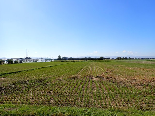 【周辺】 | 黒石市飛内　土地