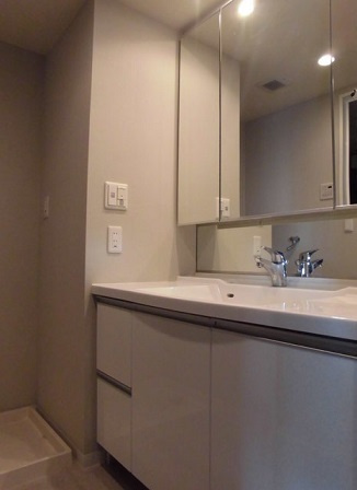 港区港南４丁目の賃貸マンションのその他|洗面・同タイプ参照（33F）