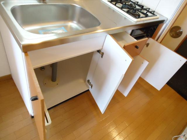 パームヒルズのキッチン|キッチン