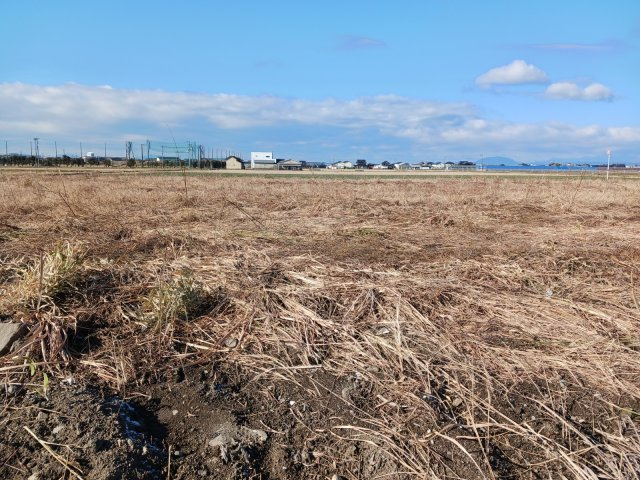 八代市鏡村土地の外観