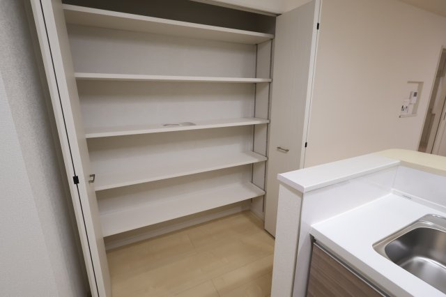 《仲介手数料無料》浦和区大東２丁目11-44(2号棟)新築一戸建ていろどりアイタウンの収納|撮影日 2025年10月16日 13:30 曇り