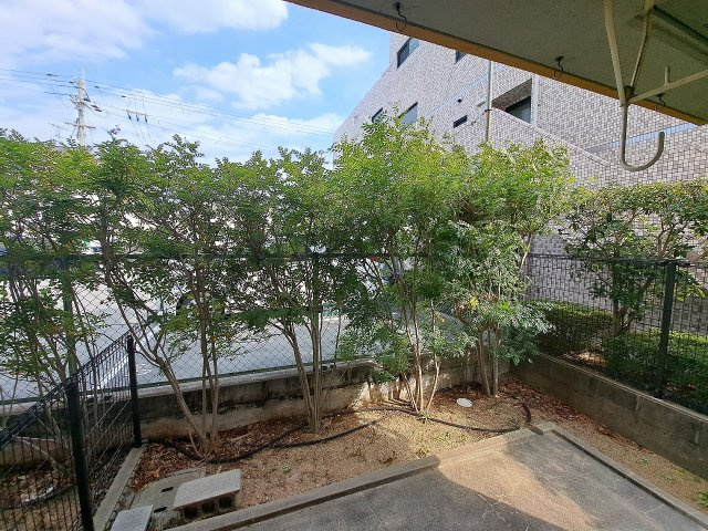 フローリッシュ99の展望