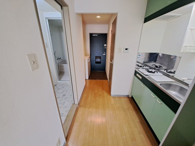 フローリッシュ99のその他