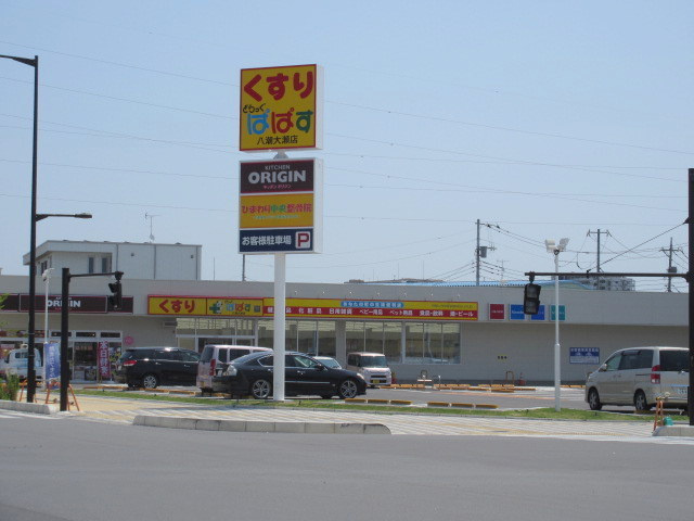 Ｗｅｌｌ　Ｓｕｎｌｉｔ　ウェルサンリットのその他|どらっぐぱぱす八潮大瀬店