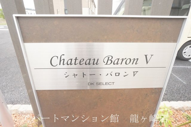 シャトー・バロンＶのエントランス|その他