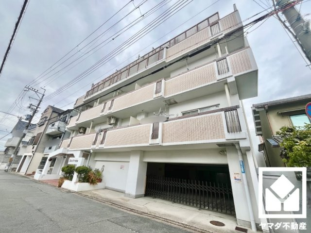 エルシティ桃山の外観
