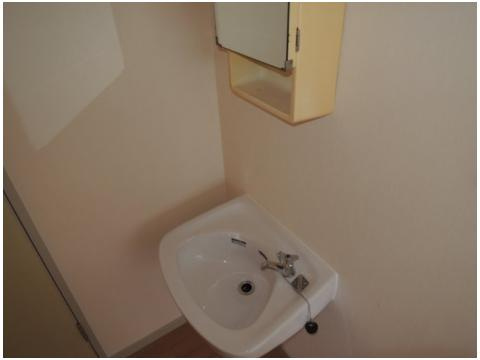 レジデンス西田Aの洗面所