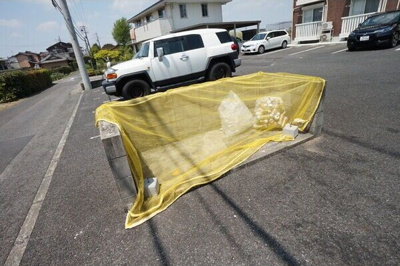 【その他】 | あおぞら