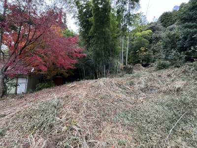 【その他】 | 埋金売土地 | 現況