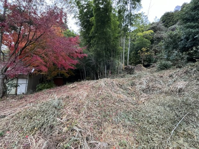 【その他】 | 埋金売土地 | 現況