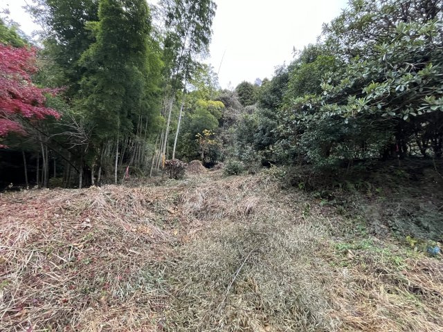 【その他】 | 埋金売土地 | 現況