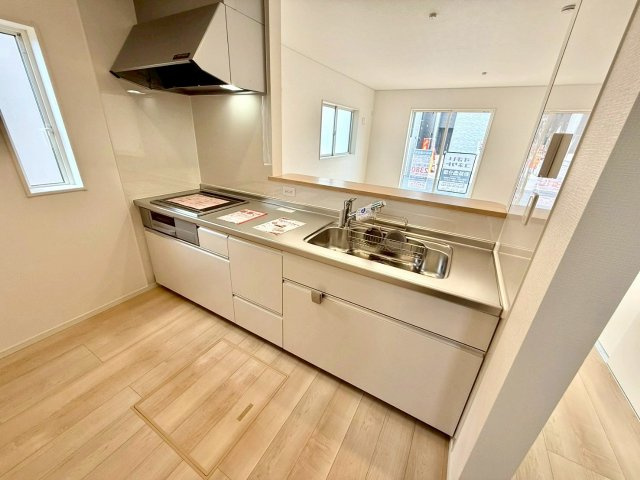 蛇口の先端に浄水器を内蔵。場所をとらない浄水器です。また、浄水器ごとホースを引き出せます。