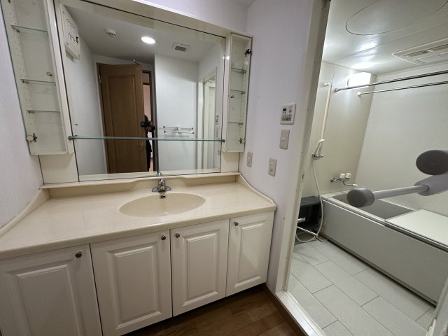 APAガーデンコート鳳西町の独立洗面台|贅沢な広いスペースの洗面です。