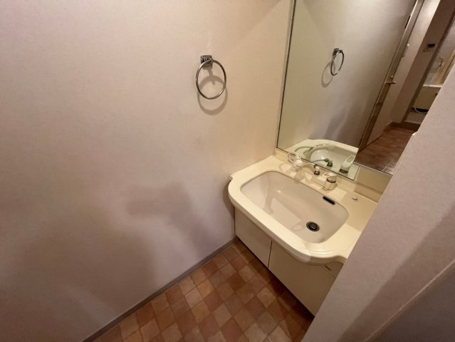 ルーチェ篠原北町の洗面所