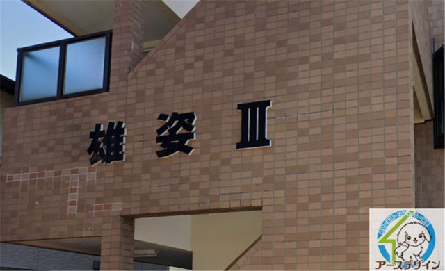 雄姿Ⅲのその他