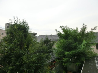 【周辺】 | 閑静な住宅地に立地。