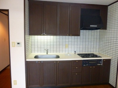 熊本市中央区新大江１丁目の賃貸マンションのキッチン