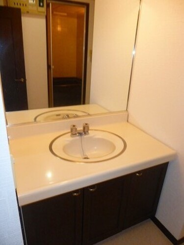 熊本市中央区新大江１丁目の賃貸マンションの独立洗面台