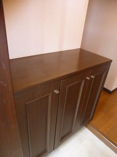 熊本市中央区新大江１丁目の賃貸マンションの玄関