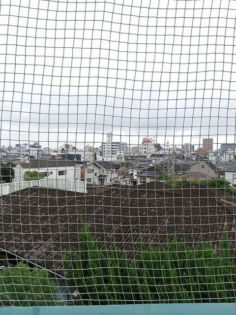 フォースアベニューのその他