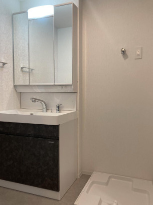 エスレジデンスクルメの独立洗面台