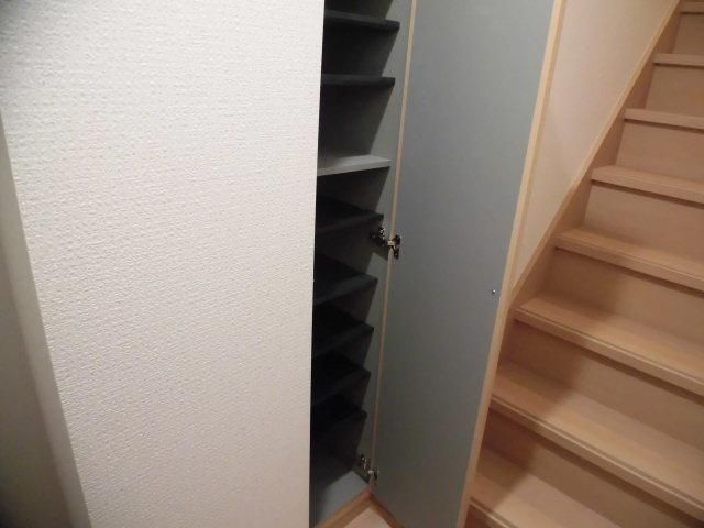 ダグラスファーのその他