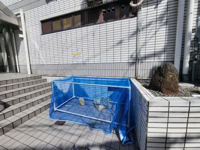 グランドールトキのその他共用部分