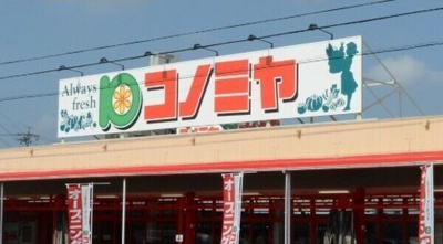 【周辺】 | レアール島田