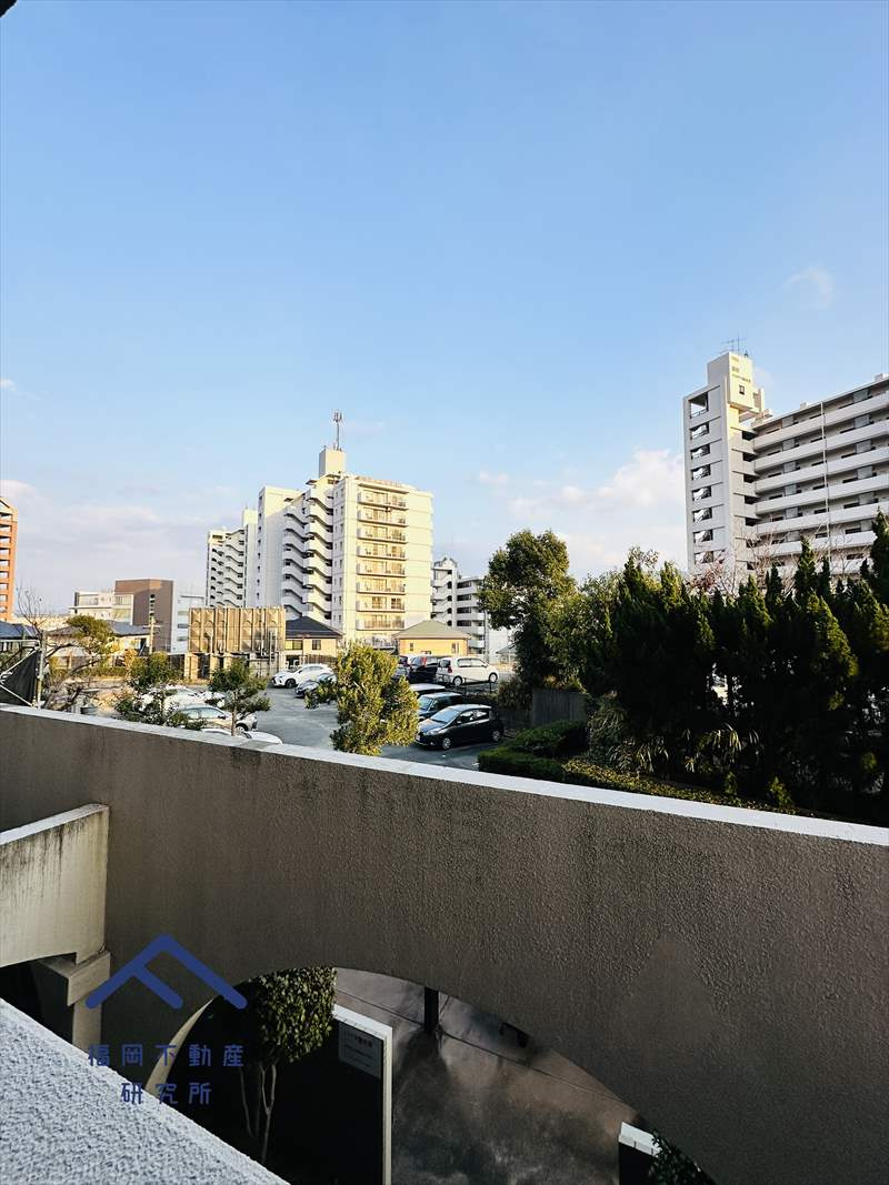 アーサー和白丘フォレスタの展望