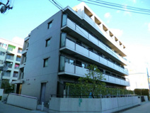 Ａｖｉｏｎ7Ｍ8の画像