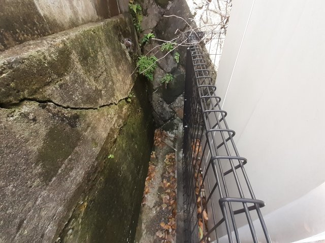 【その他】