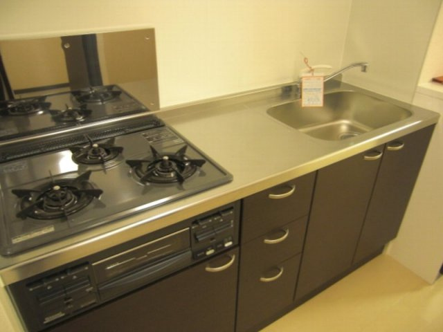 レオネクストエリシオのキッチン