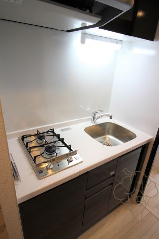 EC梅田北Ⅱゼニスのキッチン