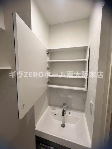 PARK HILLS今里 Rayの洗面所