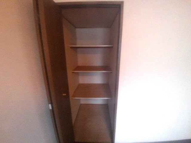 プラザハイツ二ツ屋A棟の収納