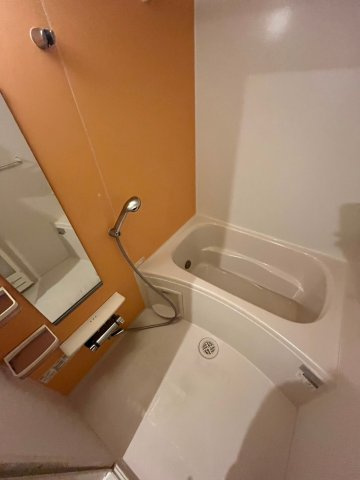 アルビコッコの浴室