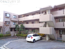 パーク・ハイム摩耶の画像